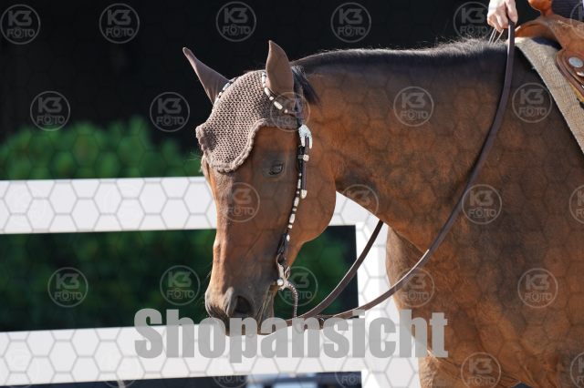 s_A_900206.JPG